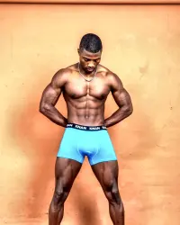 Signature Boxer Brief view 2
